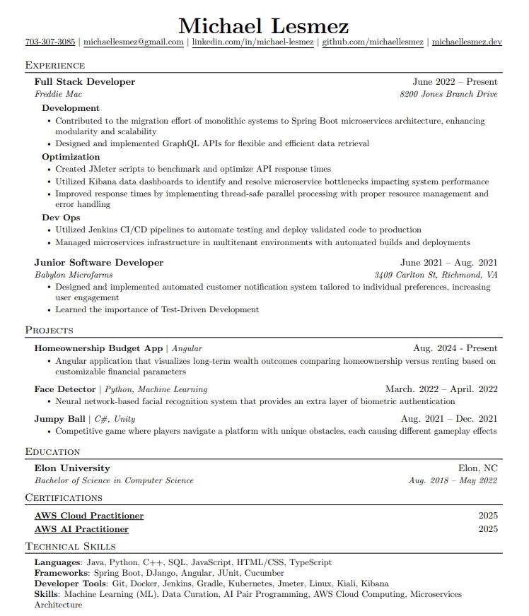Michael Lesmez Resume